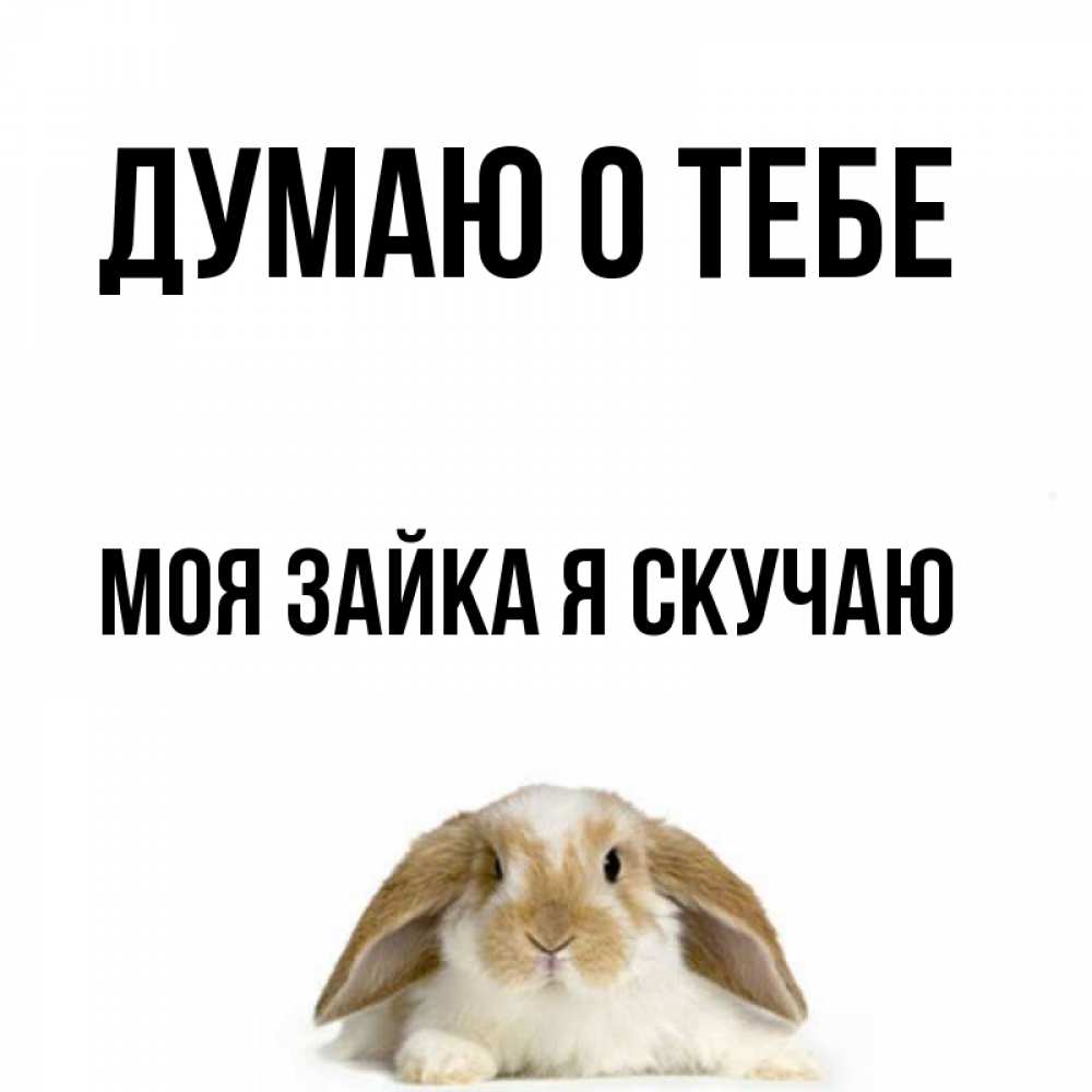 мой сладкий медвежонок. открытки люблю скучаю. трогательные мягкие игрушки. зайка моя я по тебе скучаю текст. текст песни крошка моя я.