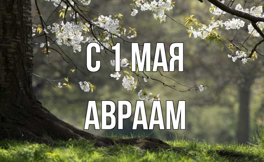 Открытка на каждый день с именем, Авраам С 1 мая С 1 мая Прикольная открытка с пожеланием онлайн скачать бесплатно 