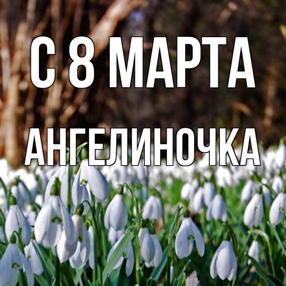 Открытка на каждый день с именем, Ангелиночка С 8 марта с подснежниками 1 Прикольная открытка с пожеланием онлайн скачать бесплатно 