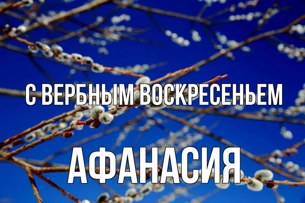 Открытка на каждый день с именем, Афанасия С вербным воскресеньем верба Прикольная открытка с пожеланием онлайн скачать бесплатно 