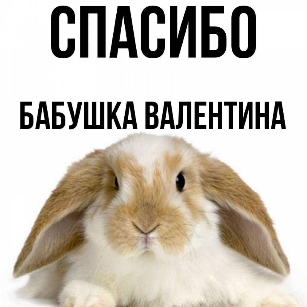 Открытка на каждый день с именем, Бабушка-Валентина Спасибо коричнево белый заяц Прикольная открытка с пожеланием онлайн скачать бесплатно 