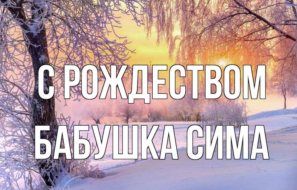 Открытка на каждый день с именем, Бабушка-Сима С рождеством рождество, лес, зима 1 Прикольная открытка с пожеланием онлайн скачать бесплатно 