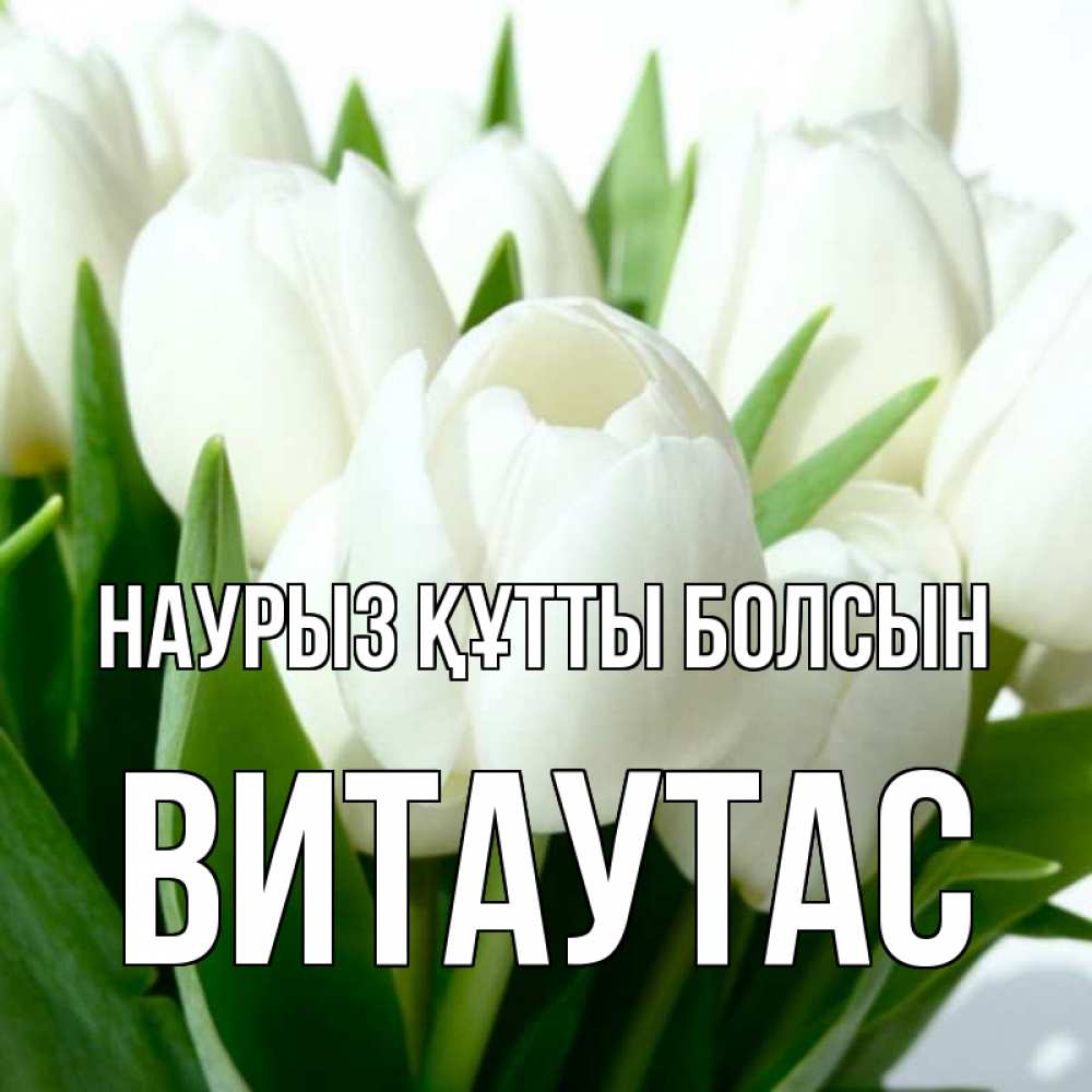 Открытка на каждый день с именем, Витаутас Наурыз құтты болсын цветы Прикольная открытка с пожеланием онлайн скачать бесплатно 