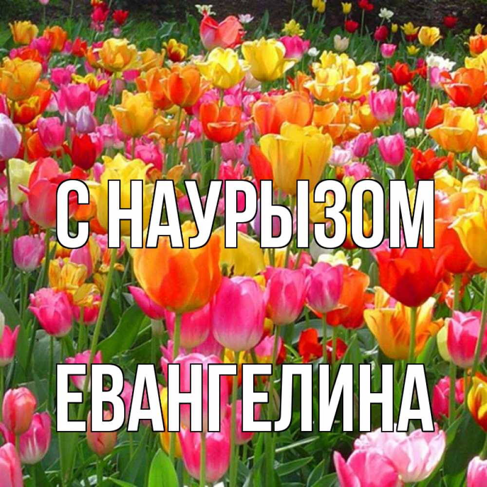 Открытка на каждый день с именем, Евангелина С наурызом праздник весны наурыз 4 Прикольная открытка с пожеланием онлайн скачать бесплатно 