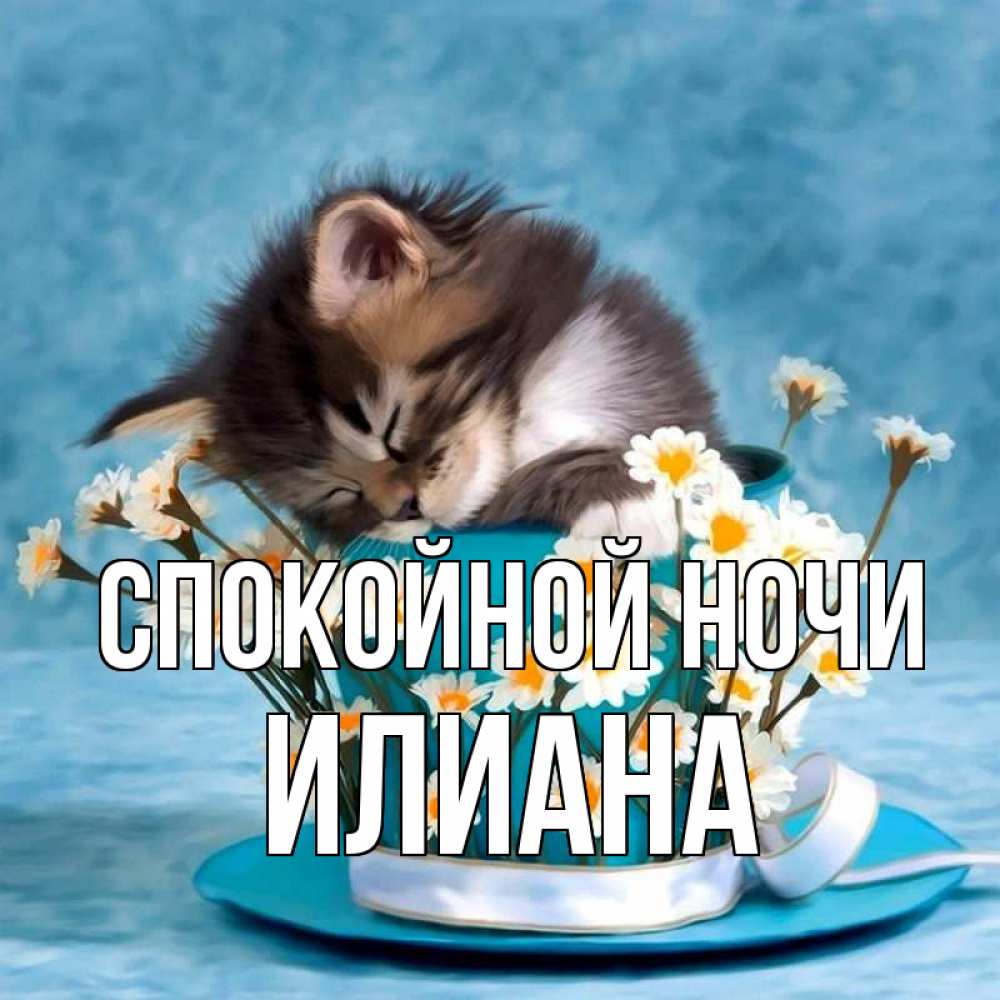 Открытка на каждый день с именем, Илиана Спокойной ночи котенок спит в кружке с блюдцем Прикольная открытка с пожеланием онлайн скачать бесплатно 