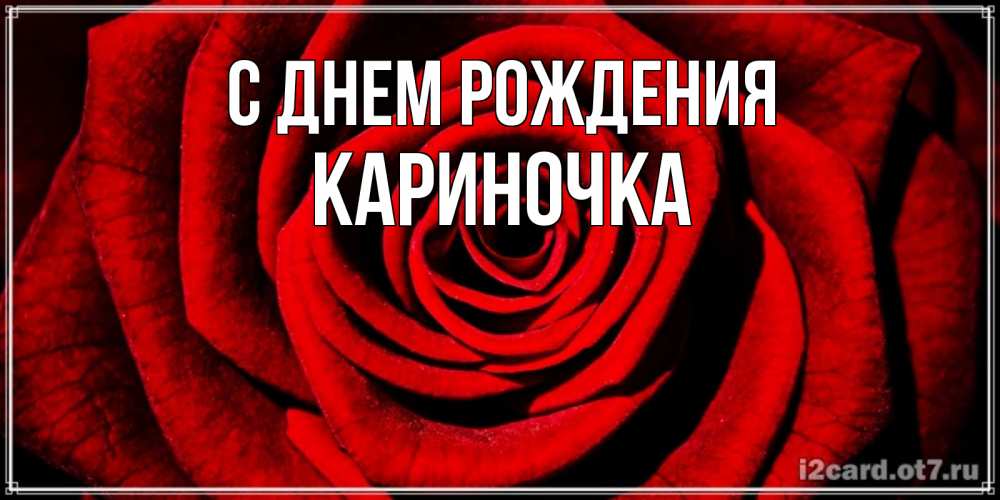 Открытка на каждый день с именем, Кариночка С днем рождения алая роза Прикольная открытка с пожеланием онлайн скачать бесплатно 