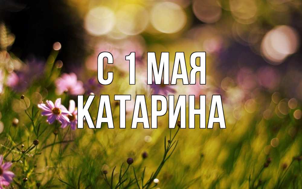 Открытка на каждый день с именем, Катарина С 1 мая С 1 мая Прикольная открытка с пожеланием онлайн скачать бесплатно 