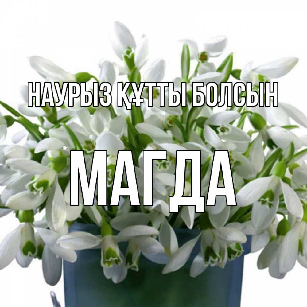 Открытка на каждый день с именем, Магда Наурыз құтты болсын цветы к наурызу Прикольная открытка с пожеланием онлайн скачать бесплатно 