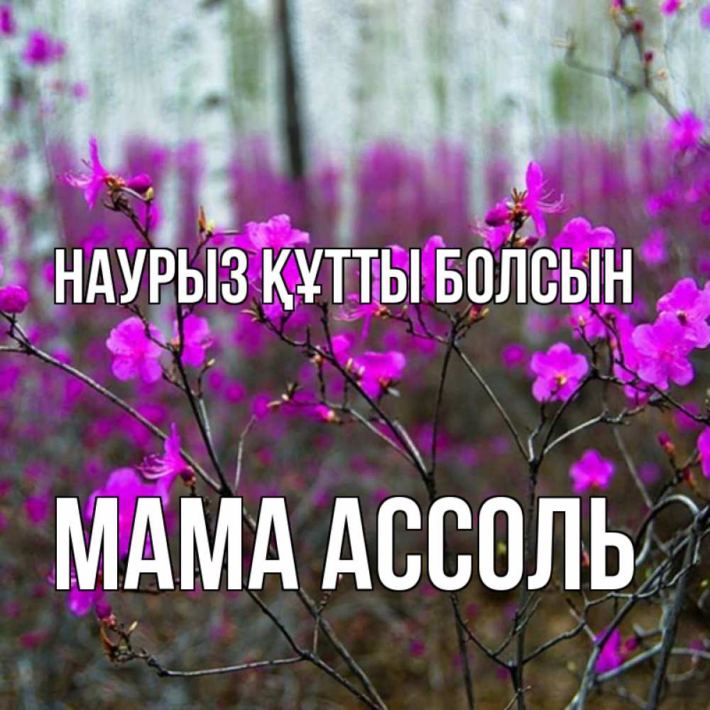 Открытка на каждый день с именем, Мама-Ассоль Наурыз құтты болсын дикие цветы Прикольная открытка с пожеланием онлайн скачать бесплатно 