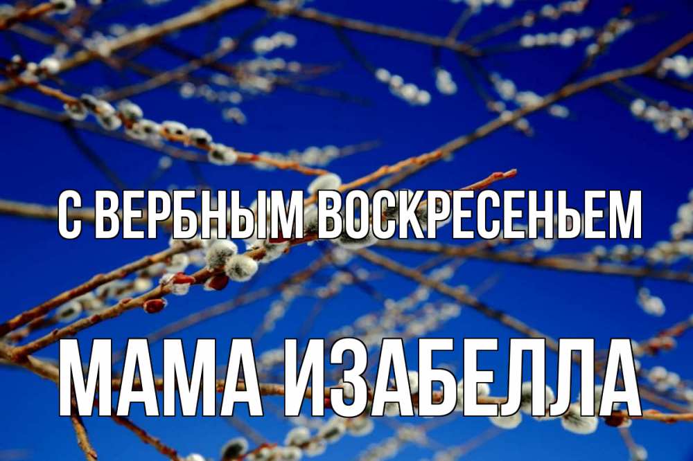 Открытка на каждый день с именем, Мама-Изабелла С вербным воскресеньем верба Прикольная открытка с пожеланием онлайн скачать бесплатно 