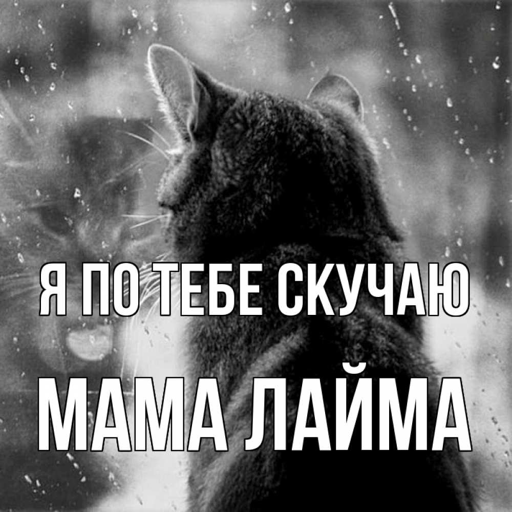 Открытка на каждый день с именем, Мама-Лайма Я по тебе скучаю скорее ко мне приходи 1 Прикольная открытка с пожеланием онлайн скачать бесплатно 