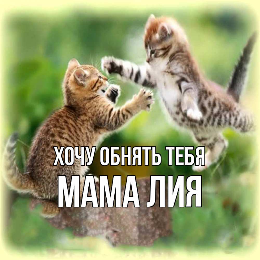 Открытка на каждый день с именем, Мама-Лия Хочу обнять тебя игры котят Прикольная открытка с пожеланием онлайн скачать бесплатно 