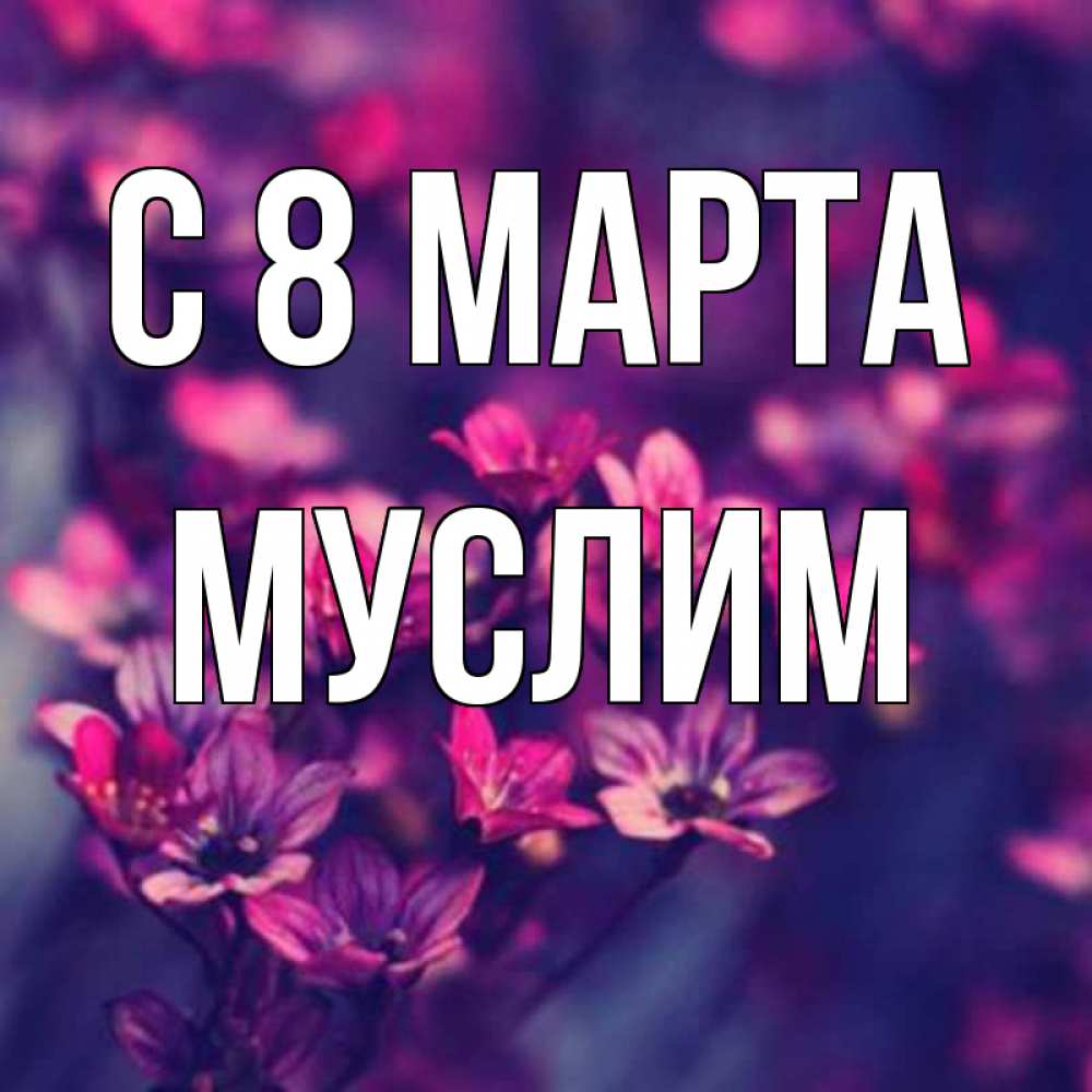 Открытка на каждый день с именем, Муслим С 8 марта небольшие цветы 1 Прикольная открытка с пожеланием онлайн скачать бесплатно 