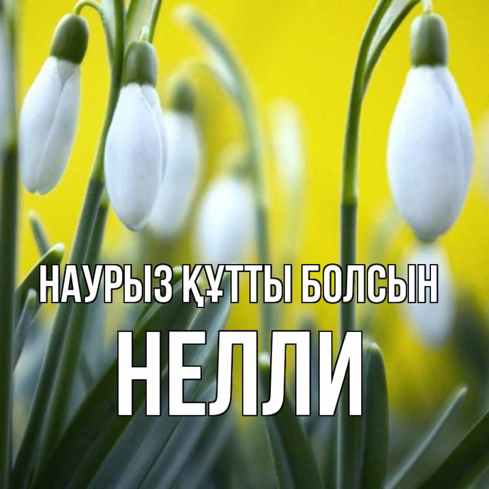 Открытка на каждый день с именем, Нелли Наурыз құтты болсын весенние цветы Прикольная открытка с пожеланием онлайн скачать бесплатно 
