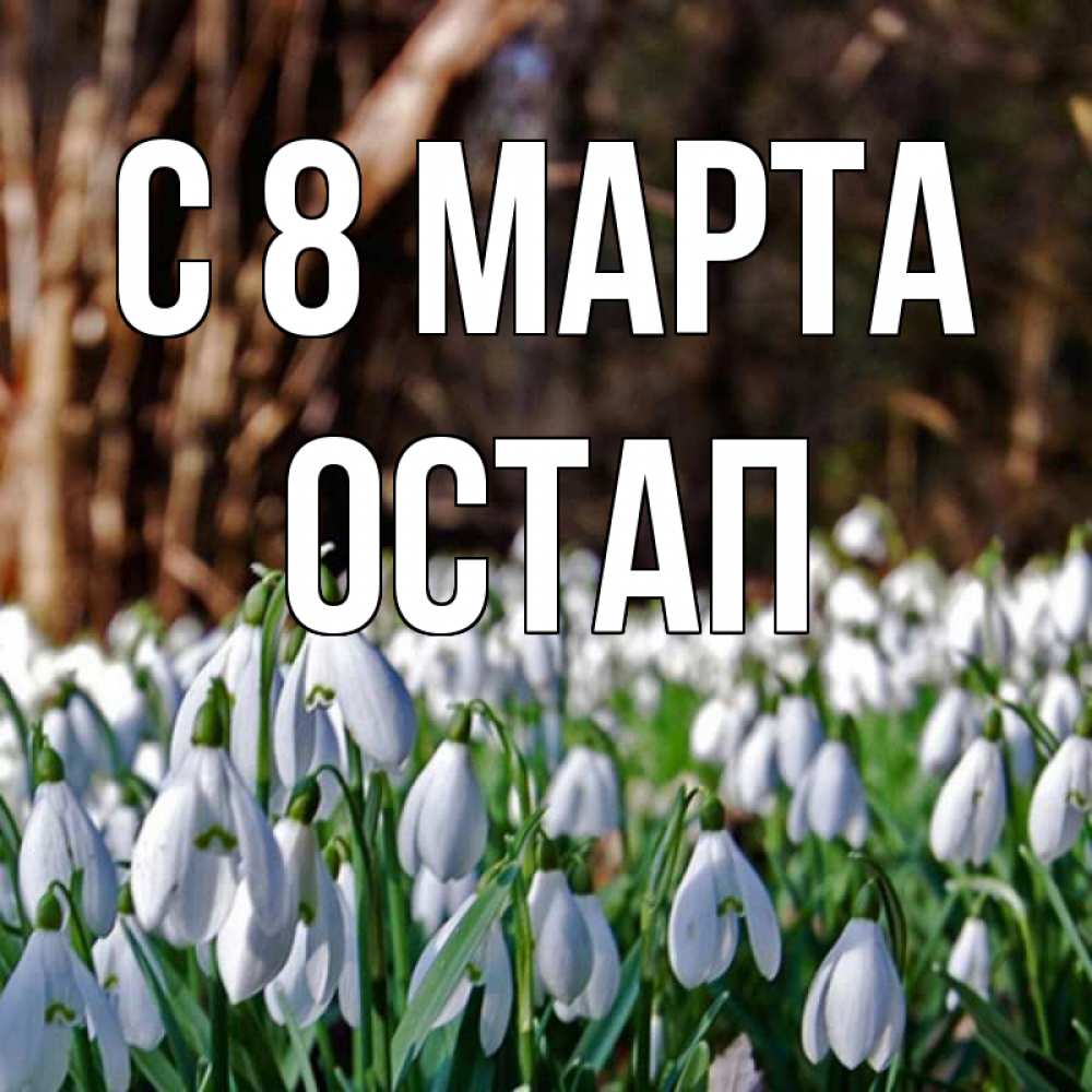 Открытка на каждый день с именем, Остап С 8 марта с подснежниками 1 Прикольная открытка с пожеланием онлайн скачать бесплатно 