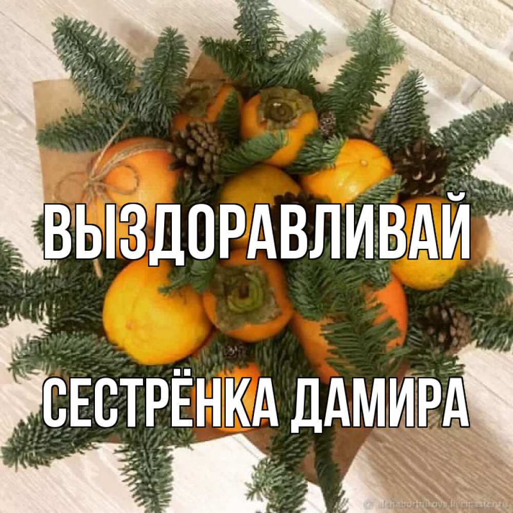 Открытка на каждый день с именем, Сестрёнка-Дамира Выздоравливай апельсины и хурьма Прикольная открытка с пожеланием онлайн скачать бесплатно 