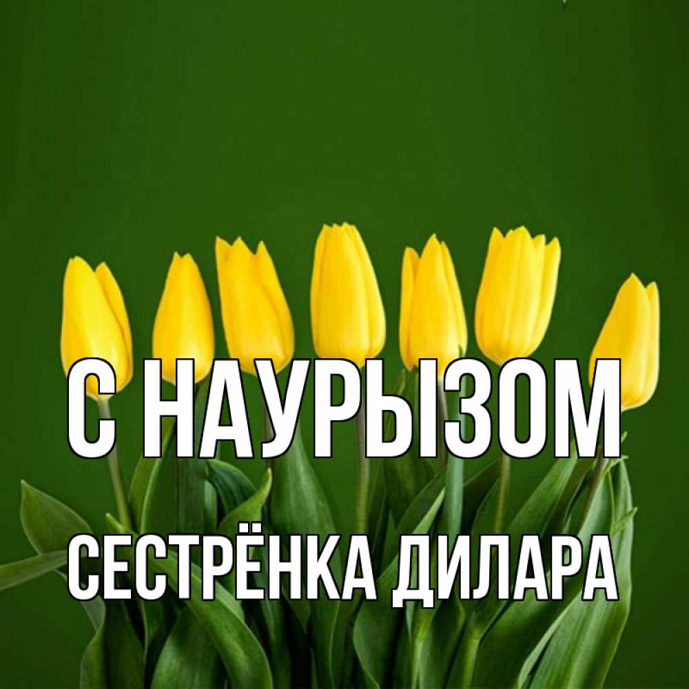 Открытка на каждый день с именем, Сестрёнка-Дилара С наурызом желтого цвета 3 Прикольная открытка с пожеланием онлайн скачать бесплатно 