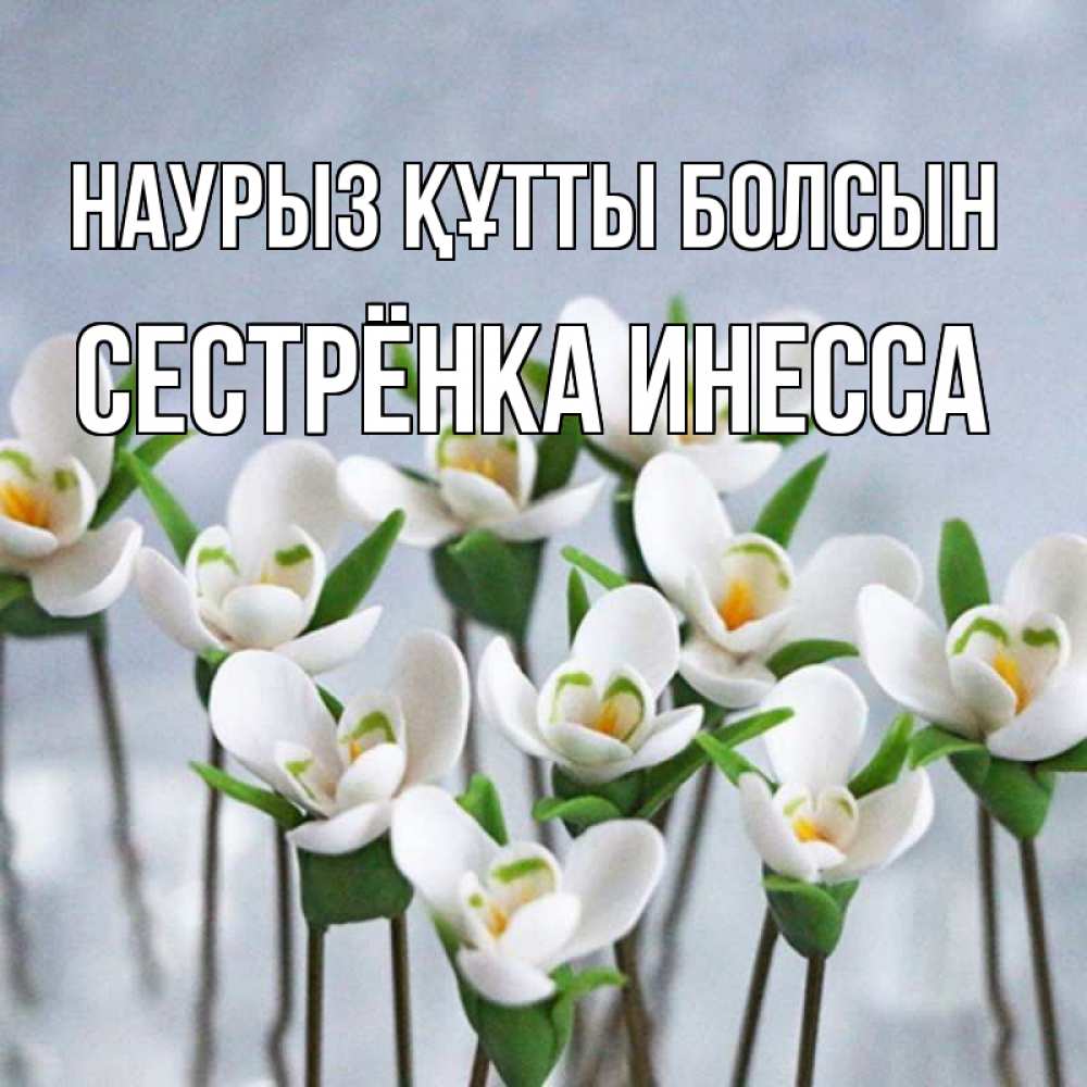 Открытка на каждый день с именем, Сестрёнка-Инесса Наурыз құтты болсын весенние цветы Прикольная открытка с пожеланием онлайн скачать бесплатно 