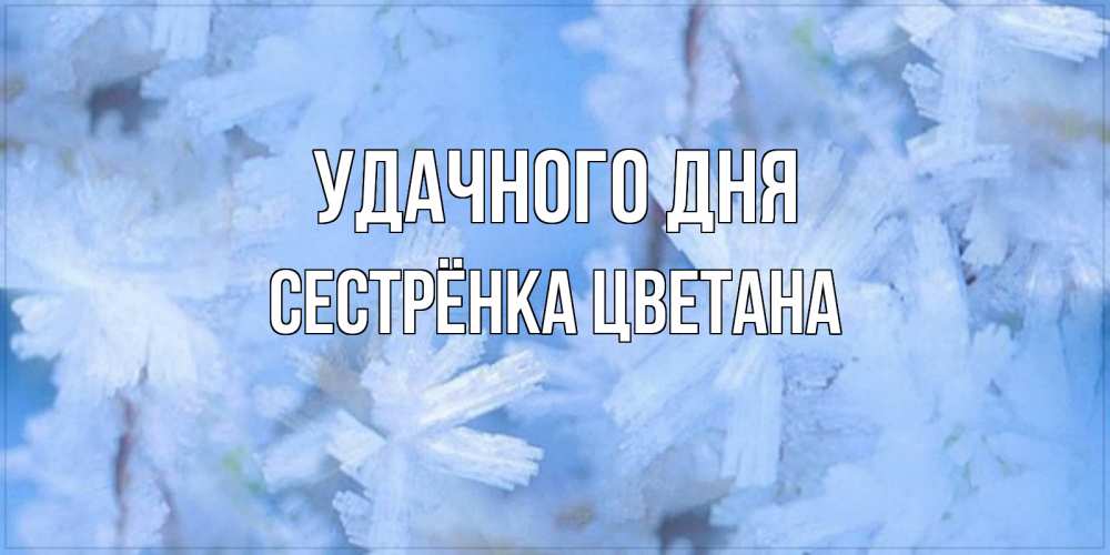Открытка на каждый день с именем, Сестрёнка-Цветана Удачного дня открытка на зимний день Прикольная открытка с пожеланием онлайн скачать бесплатно 