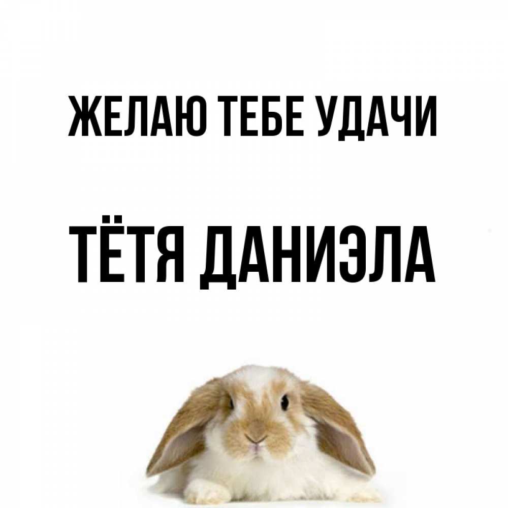 Открытка на каждый день с именем, Тётя-Даниэла Желаю тебе удачи открытки с произвольным текстом который можно вставить в открытку и создать ее самостоятельно бесплатно онлайн Прикольная открытка с пожеланием онлайн скачать бесплатно 