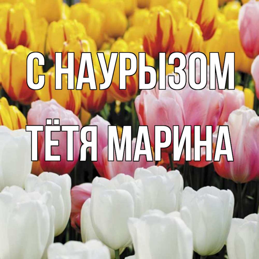Открытка на каждый день с именем, Тётя-Марина С наурызом разноцветные цветы Прикольная открытка с пожеланием онлайн скачать бесплатно 