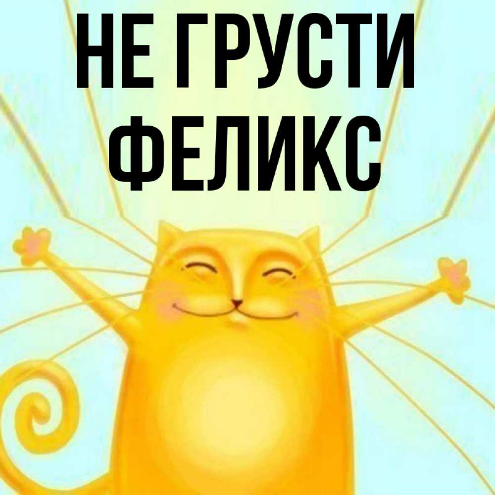 Открытка на каждый день с именем, Феликс Не грусти обнимашки усатые Прикольная открытка с пожеланием онлайн скачать бесплатно 