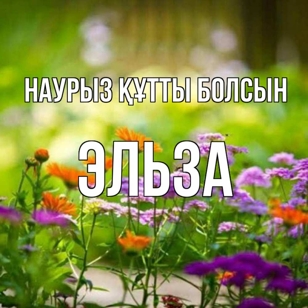 Открытка на каждый день с именем, Эльза Наурыз құтты болсын цветы Прикольная открытка с пожеланием онлайн скачать бесплатно 