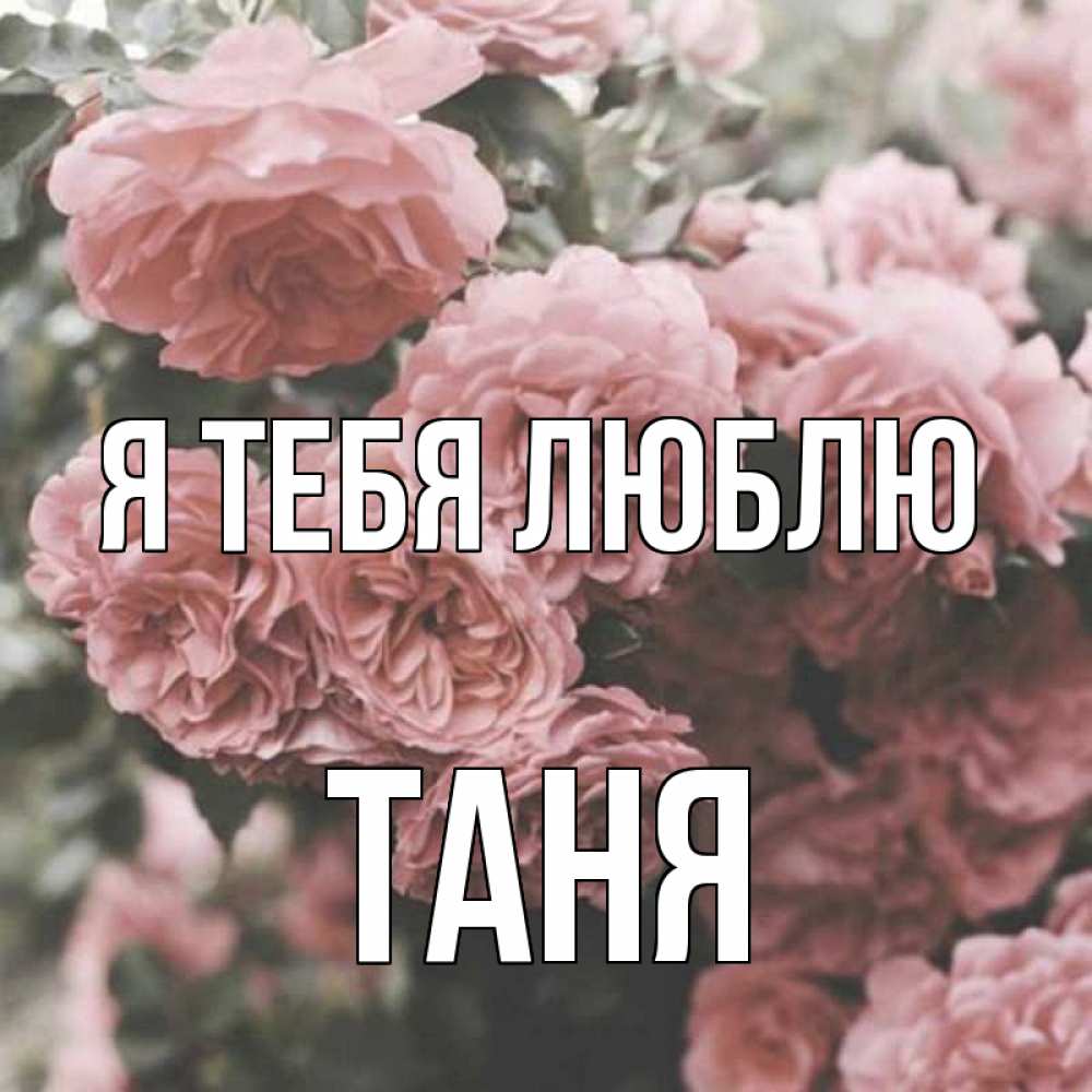 Ники с именем таня