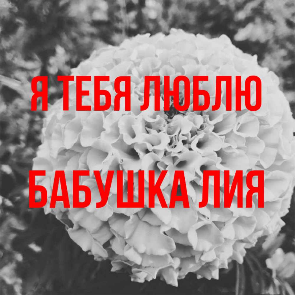 Открытка на каждый день с именем, Бабушка-Лия Я тебя люблю подпись Прикольная открытка с пожеланием онлайн скачать бесплатно 