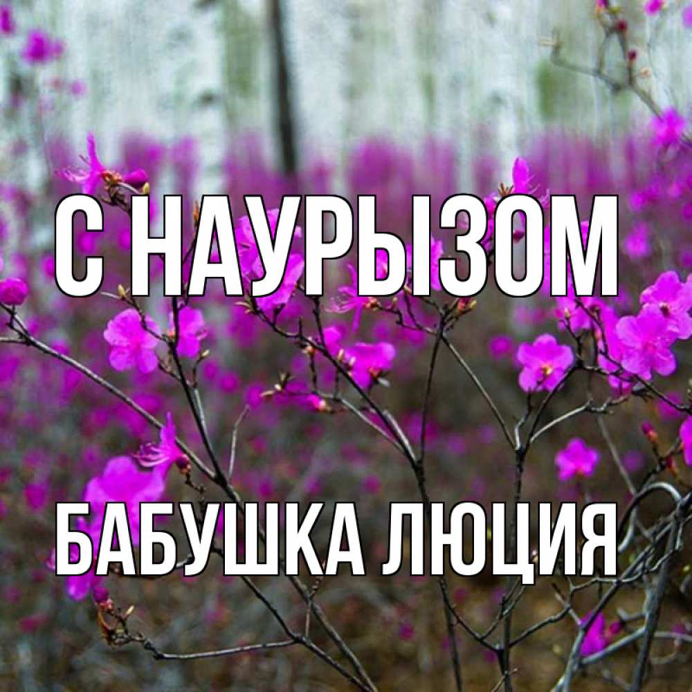 Открытка на каждый день с именем, Бабушка-Люция С наурызом дикие цветы Прикольная открытка с пожеланием онлайн скачать бесплатно 