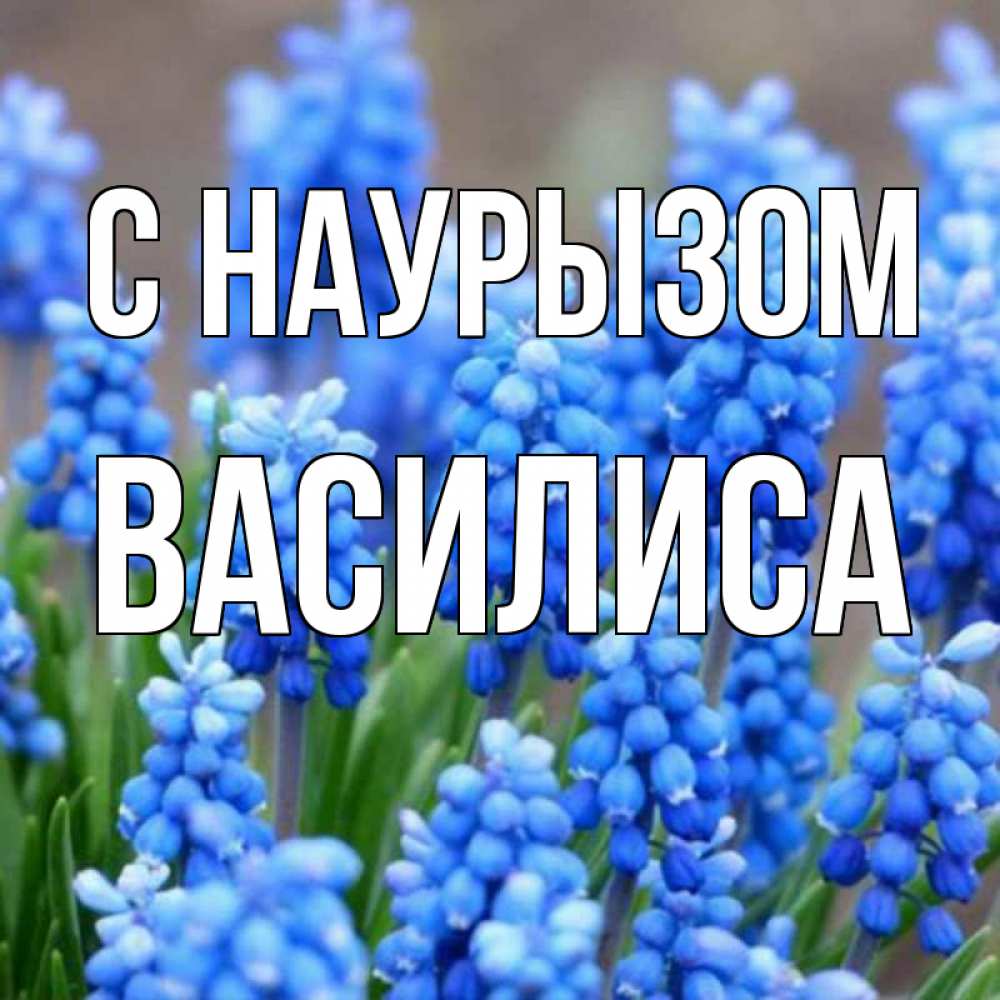 Открытка на каждый день с именем, Василиса С наурызом Поздравительная открытка для женщин с цветами на праздничную дату Прикольная открытка с пожеланием онлайн скачать бесплатно 