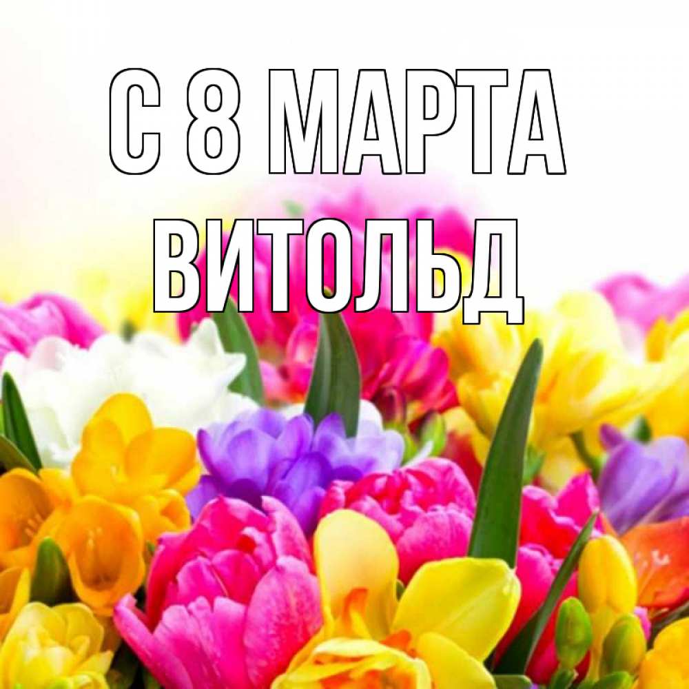 Открытка на каждый день с именем, Витольд С 8 марта тюльпаны Прикольная открытка с пожеланием онлайн скачать бесплатно 