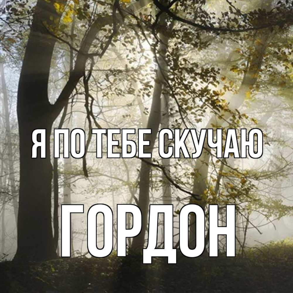 Открытка на каждый день с именем, Гордон Я по тебе скучаю грустно Прикольная открытка с пожеланием онлайн скачать бесплатно 