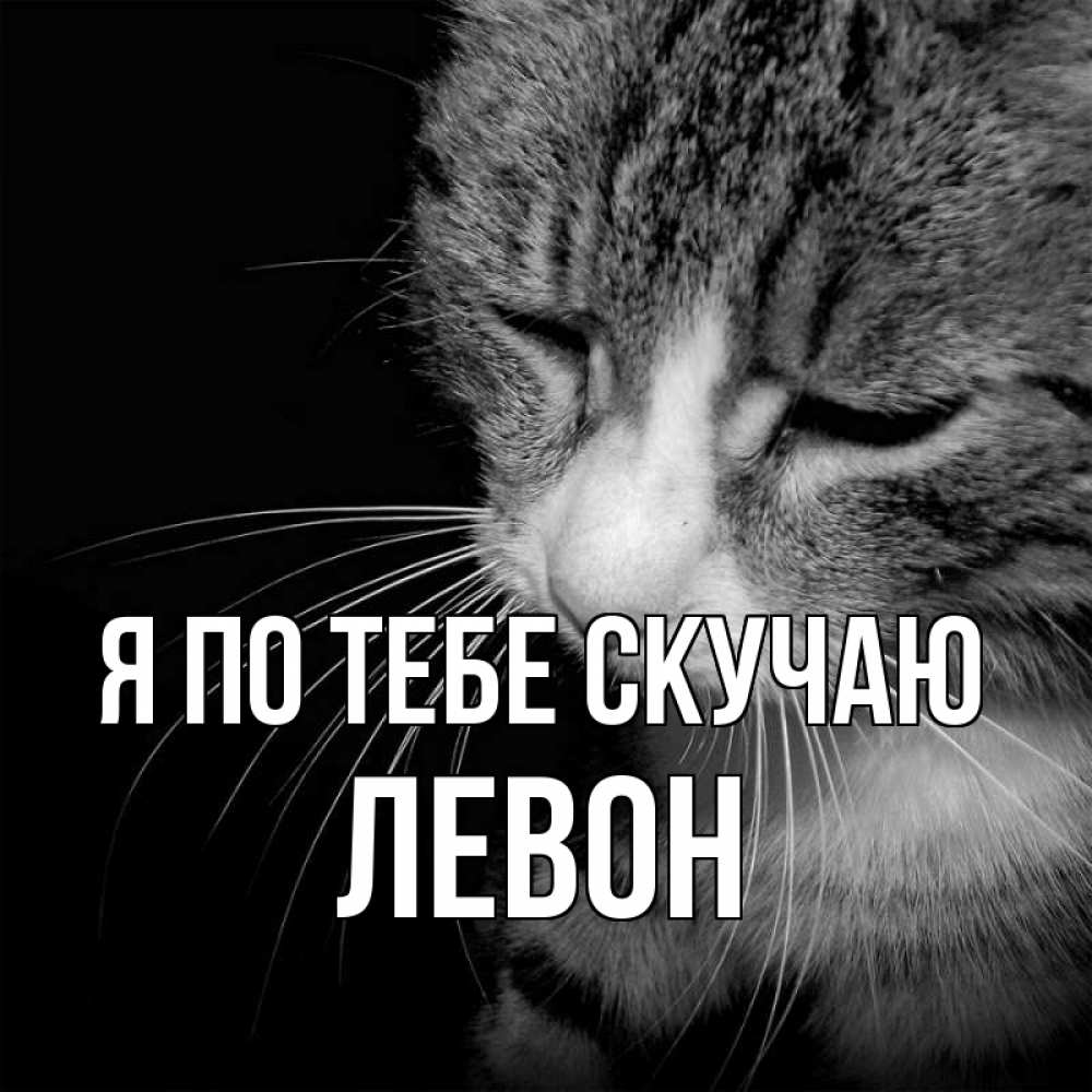 Открытка на каждый день с именем, Левон Я по тебе скучаю мне скучно Прикольная открытка с пожеланием онлайн скачать бесплатно 