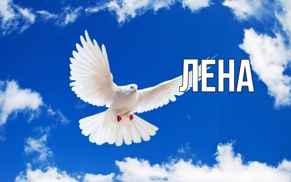Открытка на каждый день с именем, Лена Главная С 1 мая 1 Прикольная открытка с пожеланием онлайн скачать бесплатно 