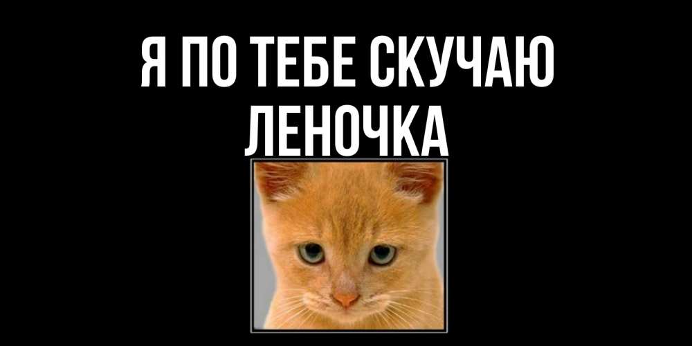 Открытка на каждый день с именем, Леночка Я по тебе скучаю открытки рыжий котенок скучает по тебе Прикольная открытка с пожеланием онлайн скачать бесплатно 