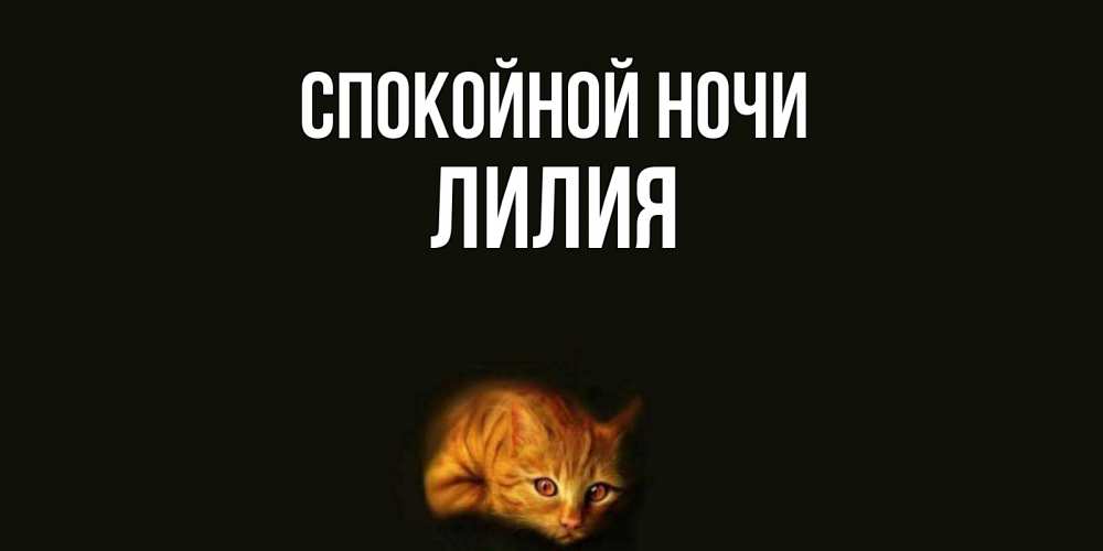 Открытка на каждый день с именем, Лилия Спокойной ночи кот Прикольная открытка с пожеланием онлайн скачать бесплатно 