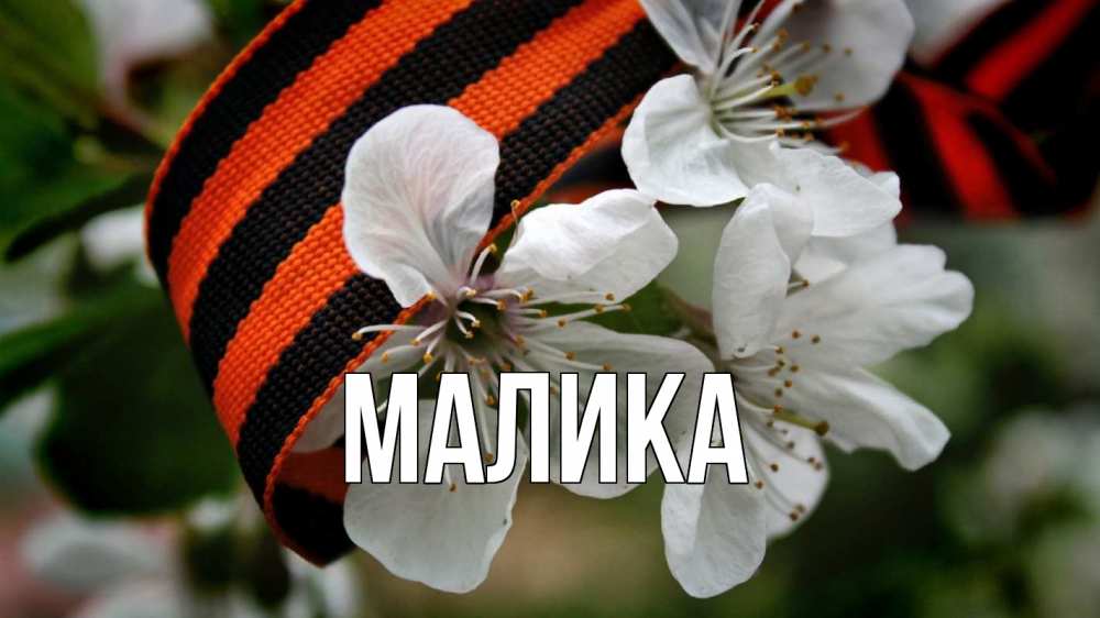 Открытка на каждый день с именем, Малика Главная 23 февраля Прикольная открытка с пожеланием онлайн скачать бесплатно 