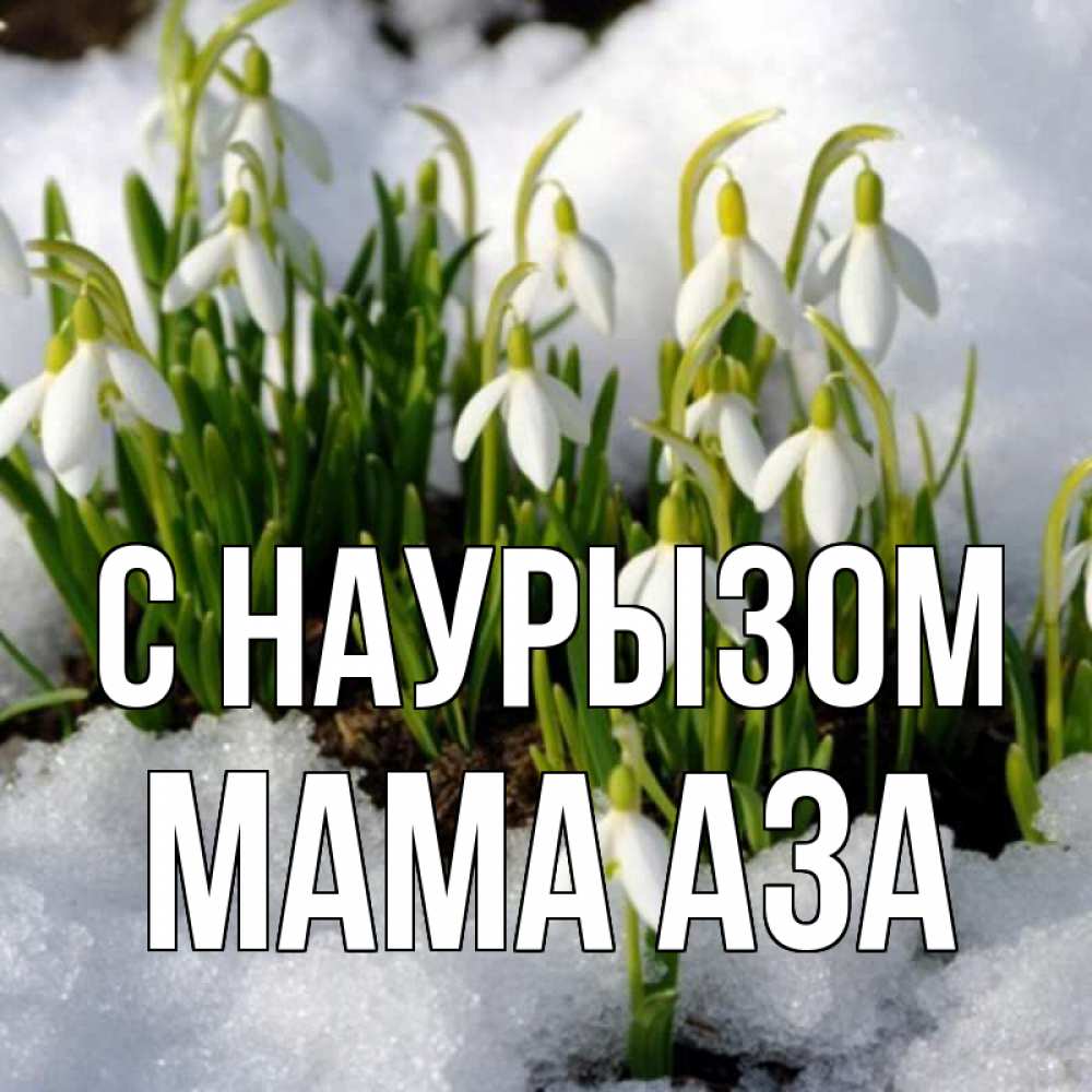 Открытка на каждый день с именем, Мама-Аза С наурызом цветы весенние Прикольная открытка с пожеланием онлайн скачать бесплатно 