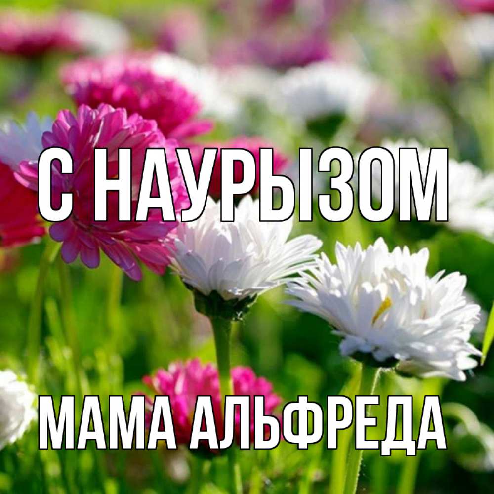 Открытка на каждый день с именем, Мама-Альфреда С наурызом праздник весны наурыз красота Прикольная открытка с пожеланием онлайн скачать бесплатно 