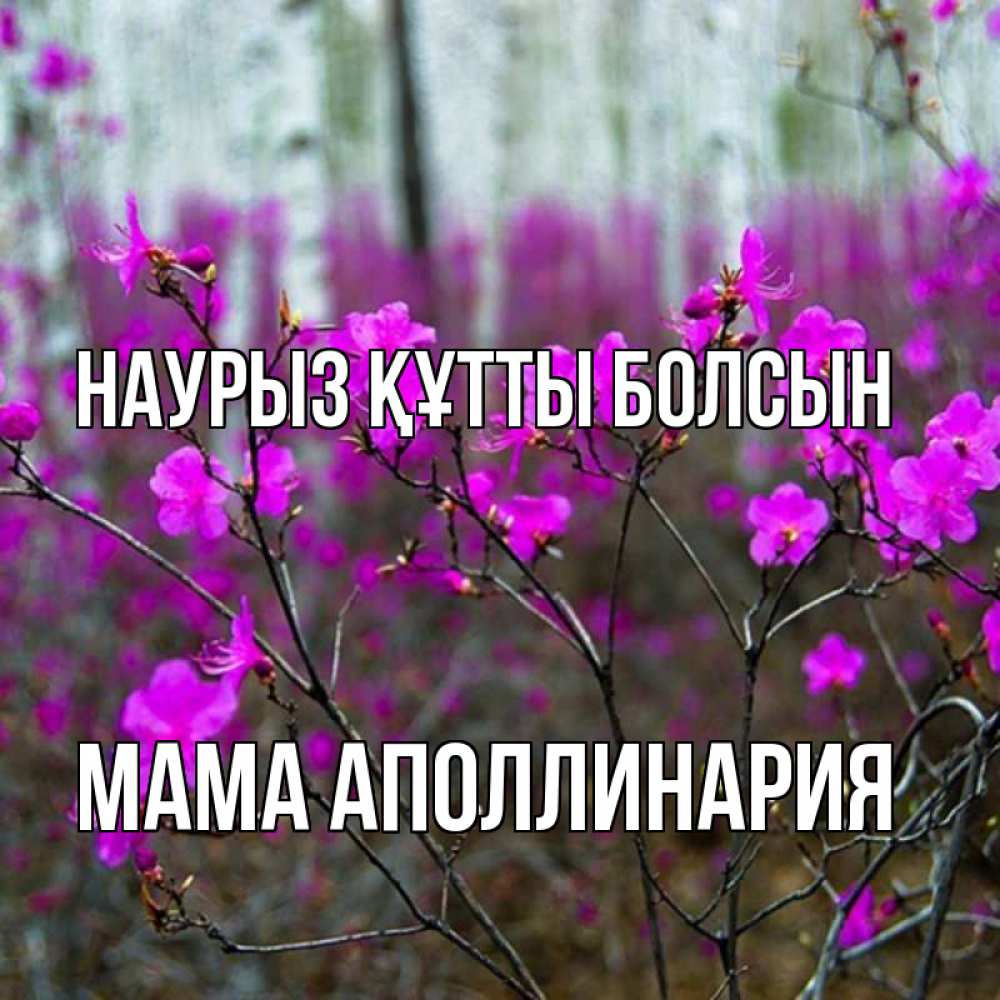 Открытка на каждый день с именем, Мама-Аполлинария Наурыз құтты болсын дикие цветы Прикольная открытка с пожеланием онлайн скачать бесплатно 