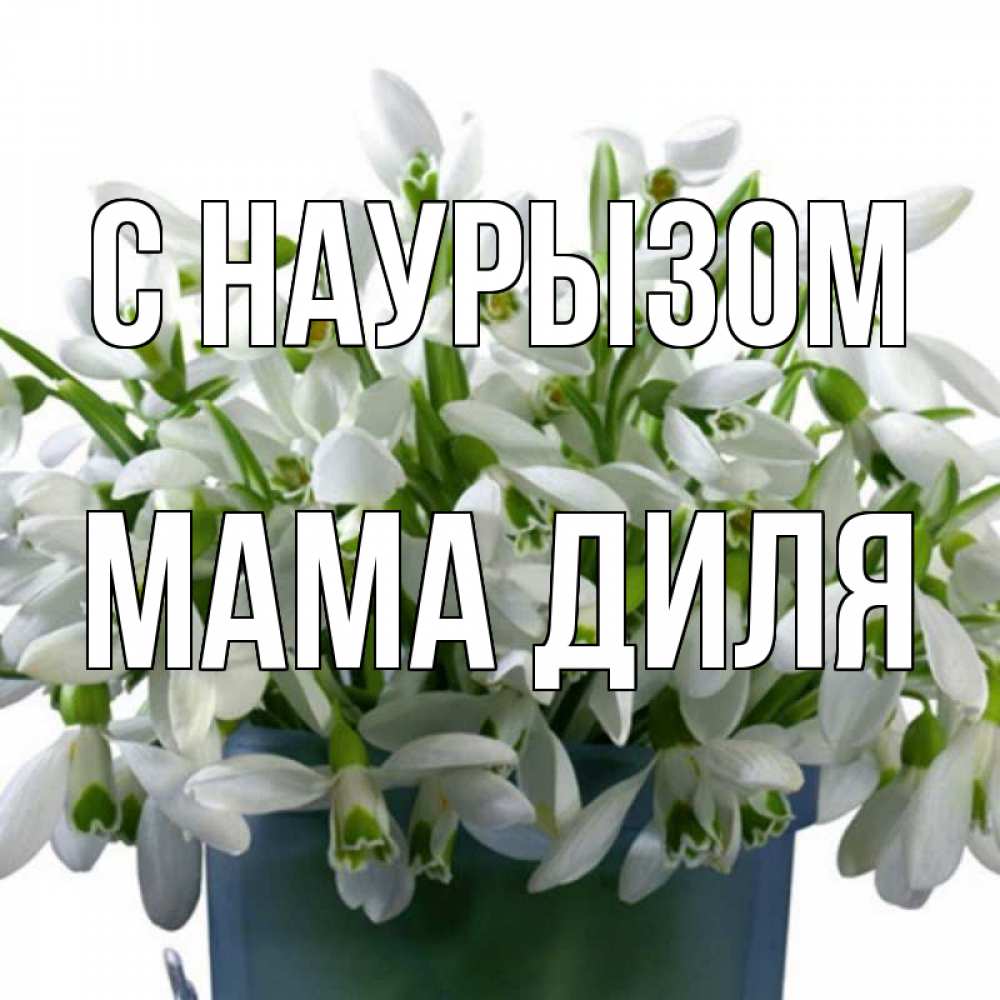 Открытка на каждый день с именем, Мама-Диля С наурызом цветы к наурызу новый год в Казахстане Прикольная открытка с пожеланием онлайн скачать бесплатно 