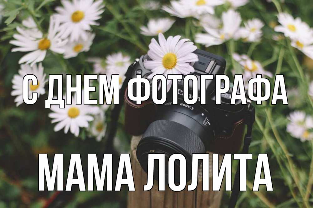 Открытка на каждый день с именем, Мама-Лолита С днем фотографа с днем фотографа Прикольная открытка с пожеланием онлайн скачать бесплатно 