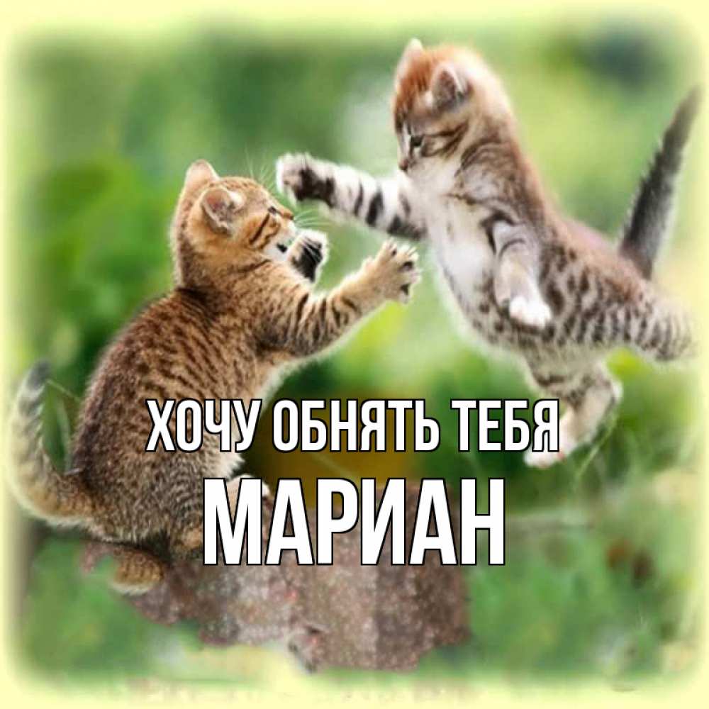 Открытка на каждый день с именем, Мариан Хочу обнять тебя игры котят Прикольная открытка с пожеланием онлайн скачать бесплатно 