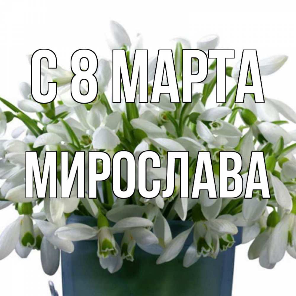 Открытка на каждый день с именем, Мирослава С 8 МАРТА цветы к международному женскому дню Прикольная открытка с пожеланием онлайн скачать бесплатно 