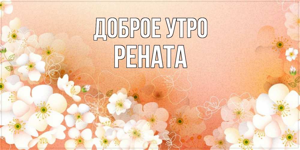 Открытка на каждый день с именем, Рената Доброе утро доброе утро с цветами Прикольная открытка с пожеланием онлайн скачать бесплатно 