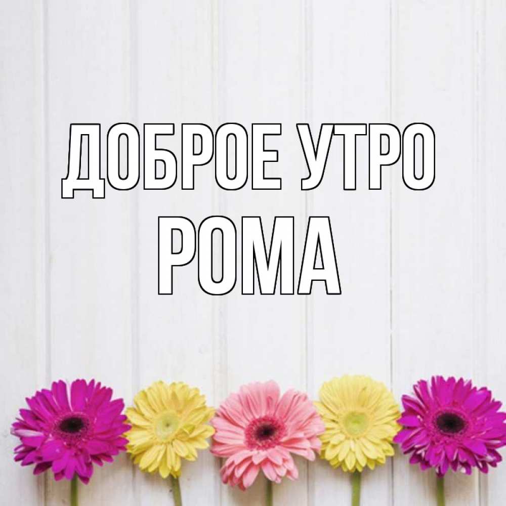 Открытка на каждый день с именем, Рома Доброе утро красный желтый и розовый цветок Прикольная открытка с пожеланием онлайн скачать бесплатно 