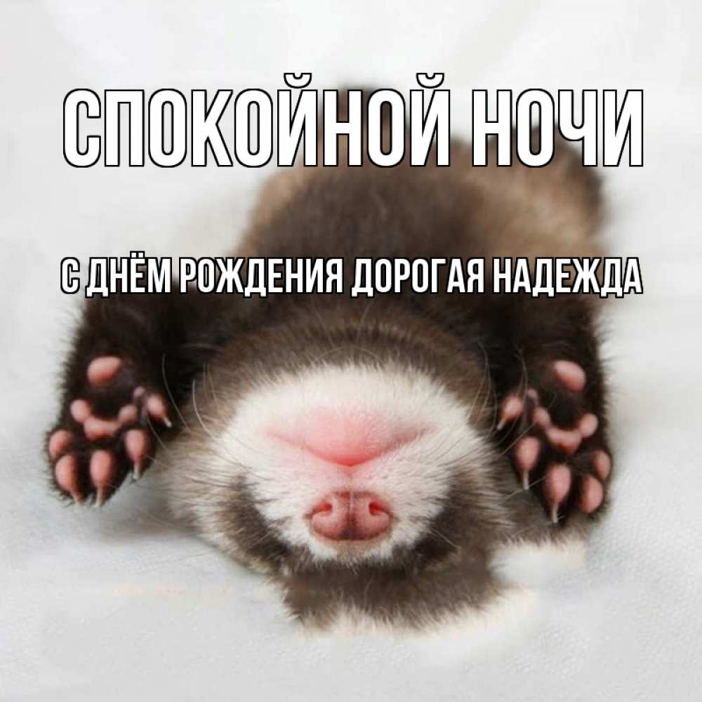 Картинка Спокойной ночи, С Днём Рождения, дорогая Надежда! 