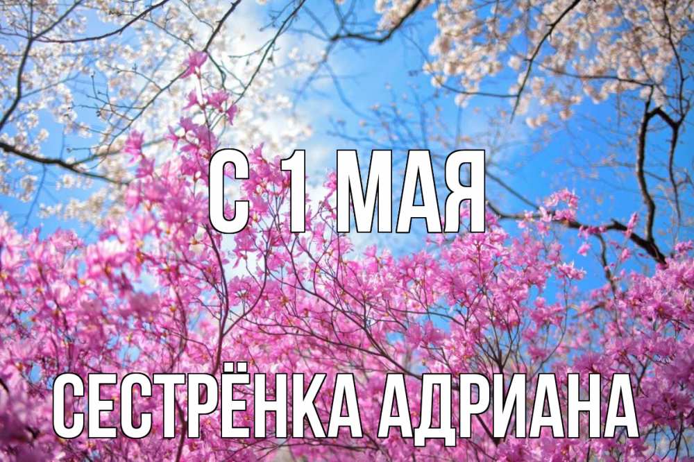 Открытка на каждый день с именем, Сестрёнка-Адриана С 1 мая С 1 мая Прикольная открытка с пожеланием онлайн скачать бесплатно 