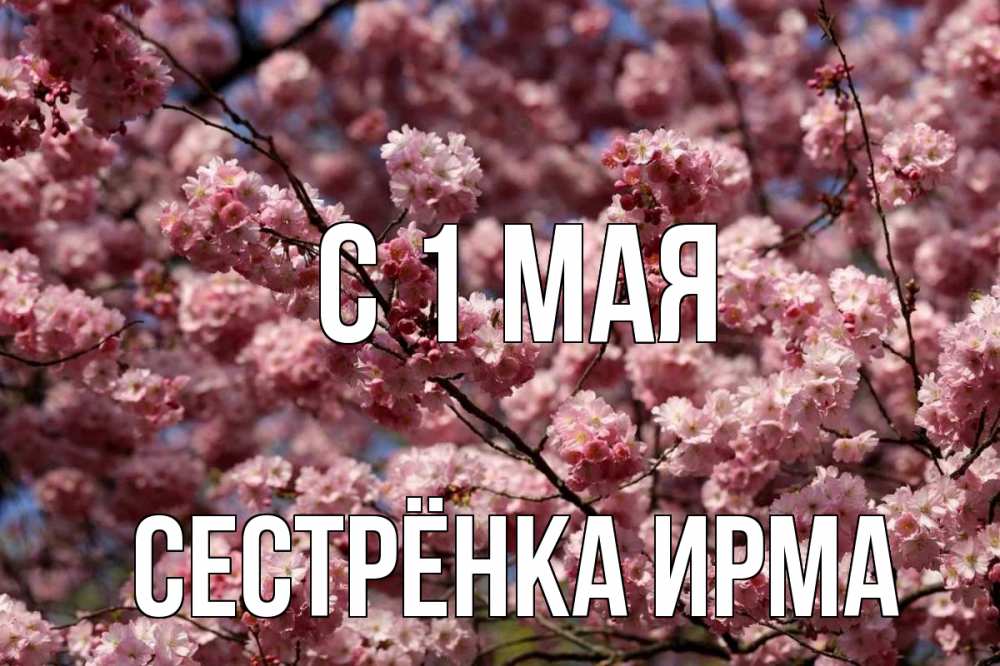 Открытка на каждый день с именем, Сестрёнка-Ирма С 1 мая С 1 мая Прикольная открытка с пожеланием онлайн скачать бесплатно 